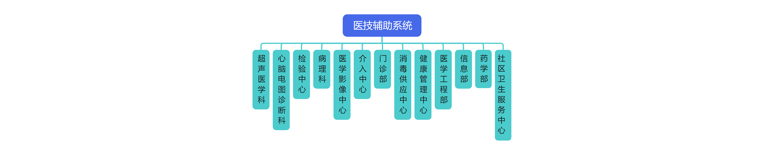 医技科室组织架构图
