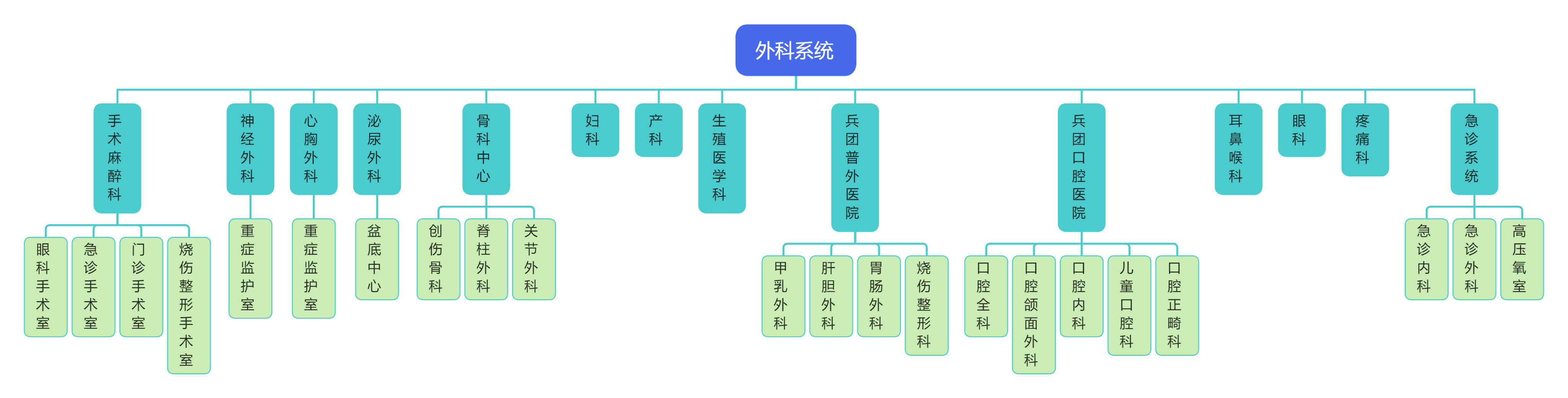 内科系统组织架构图