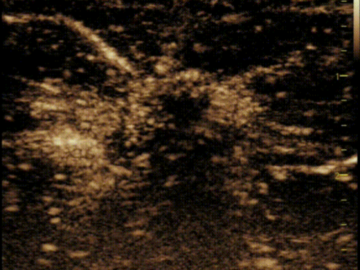 34b4f486e9c99900.png