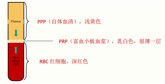 3aed99349f3f2651.png 3aed99349f3f2651.png