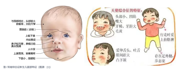 wechat_longscreenshot_2026-08-21_104250_784.png wechat_longscreenshot_2026-08-21_104250_784.png
